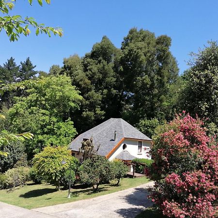 Hogsback Arminel Hotel Bagian luar foto