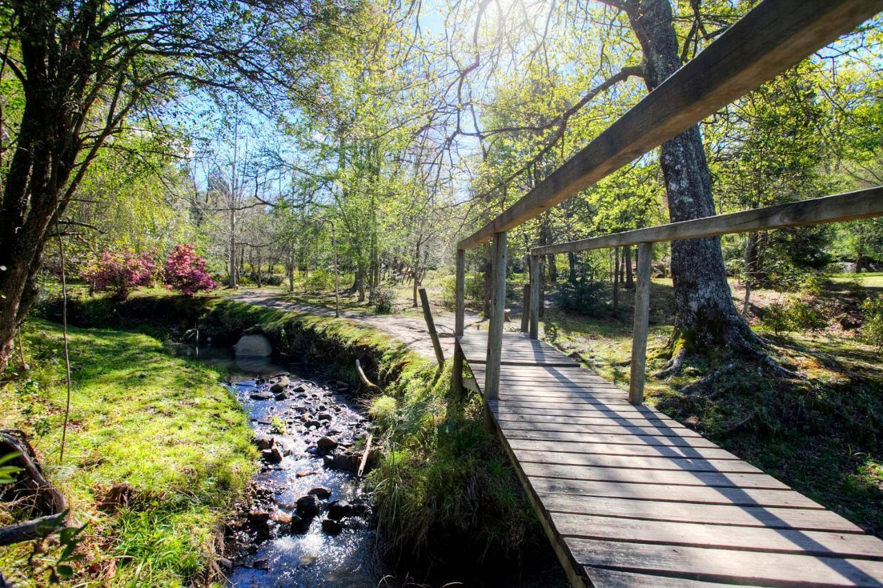 Hogsback Arminel Hotel Bagian luar foto