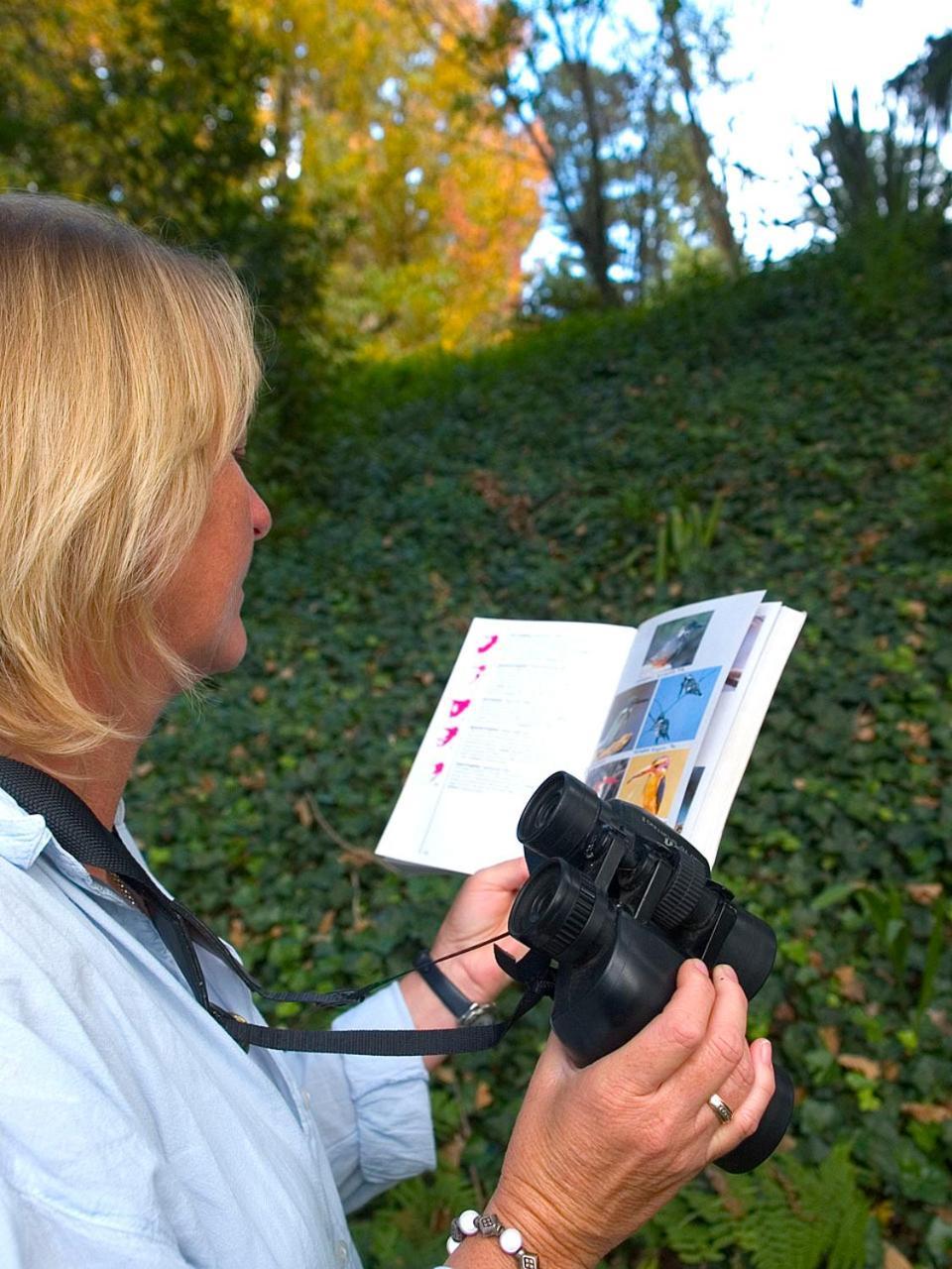Hogsback Arminel Hotel Bagian luar foto