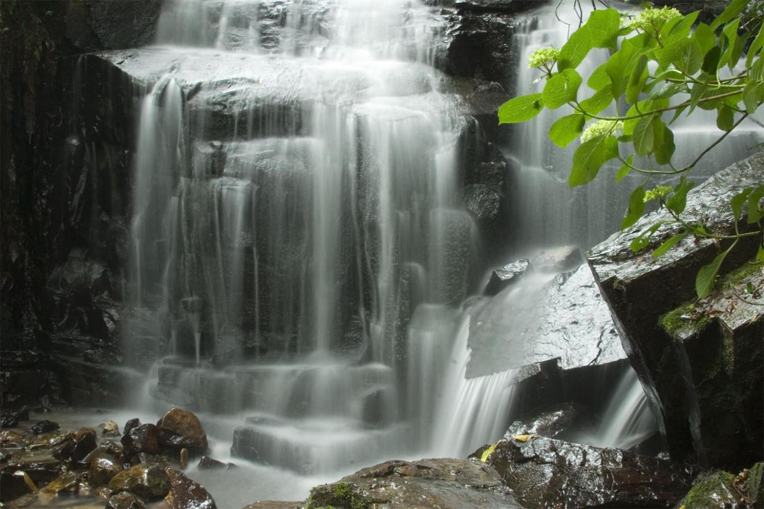 Hogsback Arminel Hotel Bagian luar foto