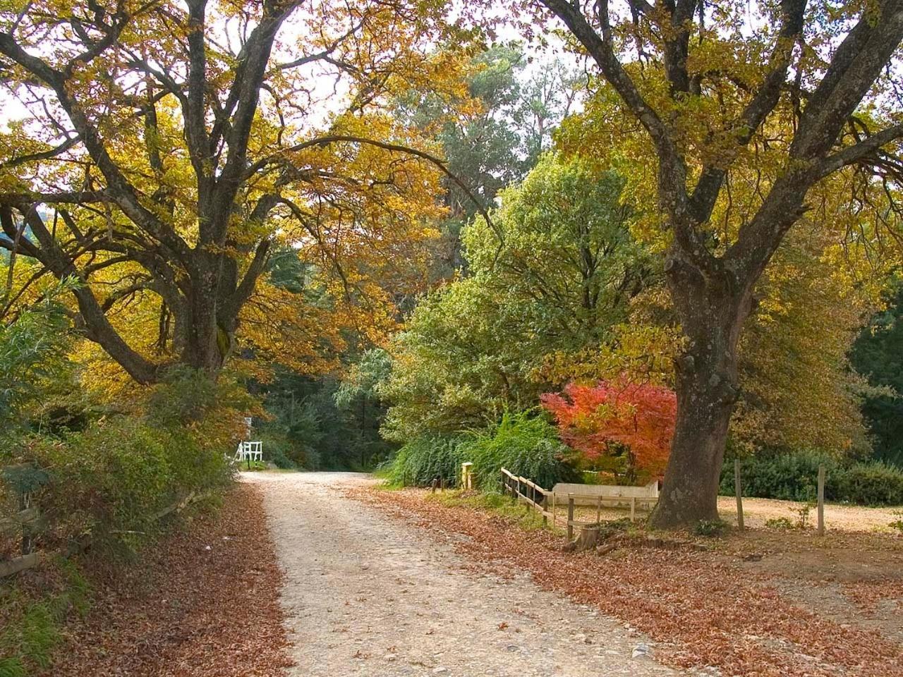 Hogsback Arminel Hotel Bagian luar foto
