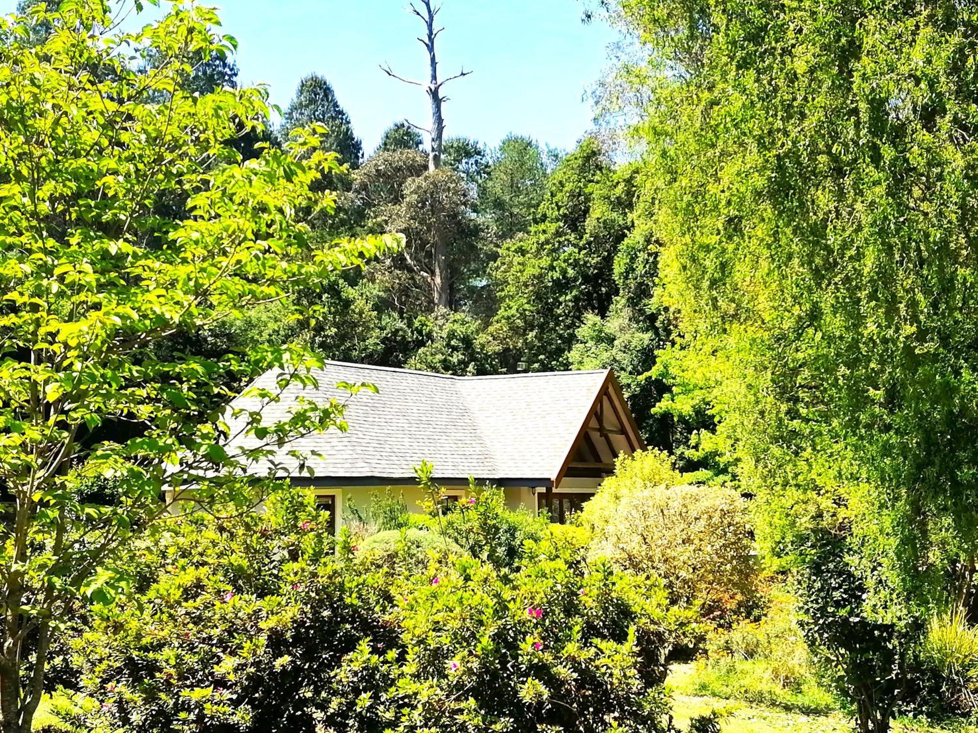 Hogsback Arminel Hotel Bagian luar foto