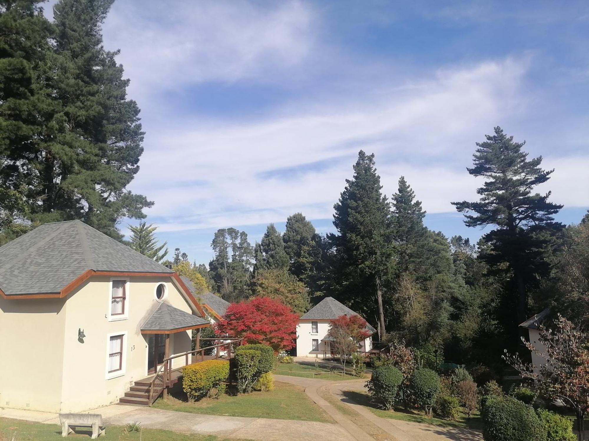 Hogsback Arminel Hotel Bagian luar foto