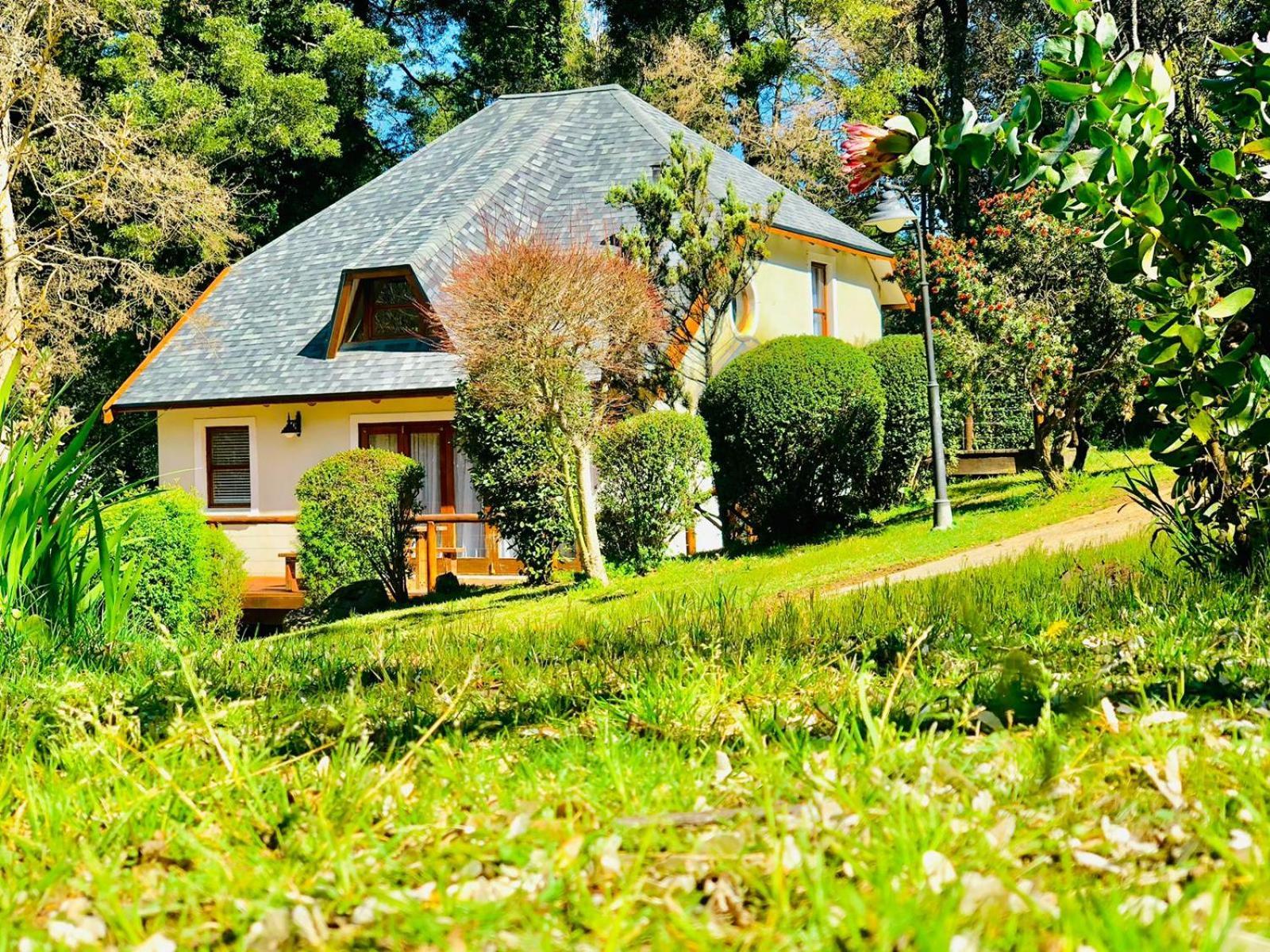 Hogsback Arminel Hotel Bagian luar foto